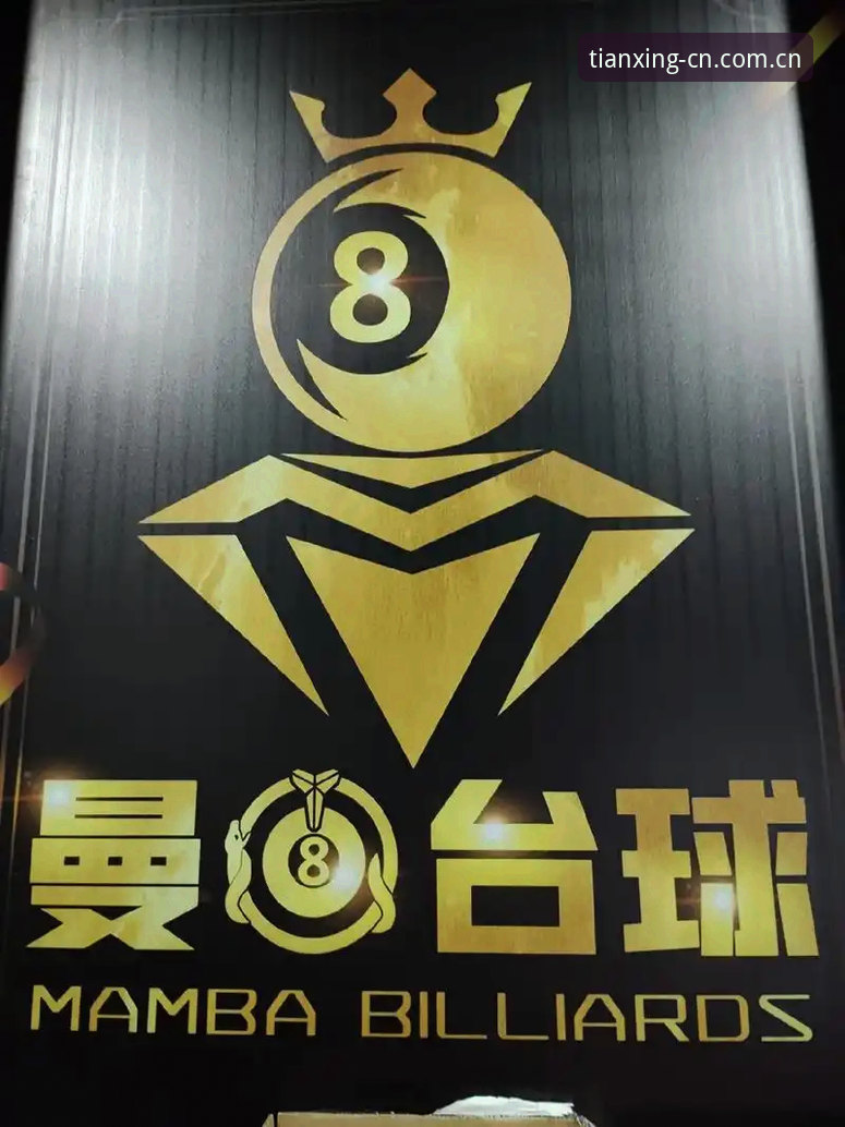 天行体育CN登录入口安装详解：从下载到赛事数据查询全流程